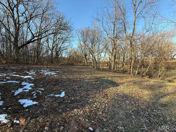 $1,080,800 | 0 Highway D (77.2 /- Acres ) Tract 1 Eolia Mo 63344, Eolia, MO 63344