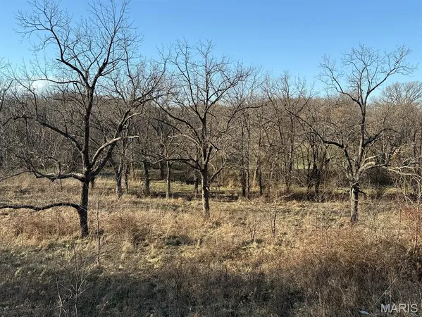$1,080,800 | 0 Highway D (77.2 /- Acres ) Tract 1 Eolia Mo 63344, Eolia, MO 63344