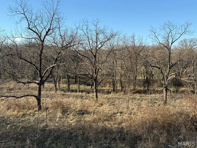 $1,080,800 | 0 Highway D (77.2 /- Acres ) Tract 1 Eolia Mo 63344, Eolia, MO 63344