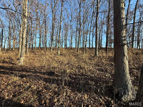 $1,080,800 | 0 Highway D (77.2 /- Acres ) Tract 1 Eolia Mo 63344, Eolia, MO 63344