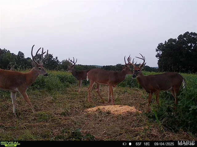 $1,080,800 | 0 Highway D (77.2 /- Acres ) Tract 1 Eolia Mo 63344, Eolia, MO 63344