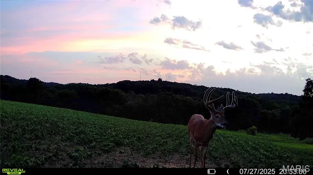 $1,080,800 | 0 Highway D (77.2 /- Acres ) Tract 1 Eolia Mo 63344, Eolia, MO 63344