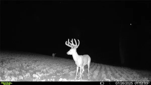 $1,080,800 | 0 Highway D (77.2 /- Acres ) Tract 1 Eolia Mo 63344, Eolia, MO 63344