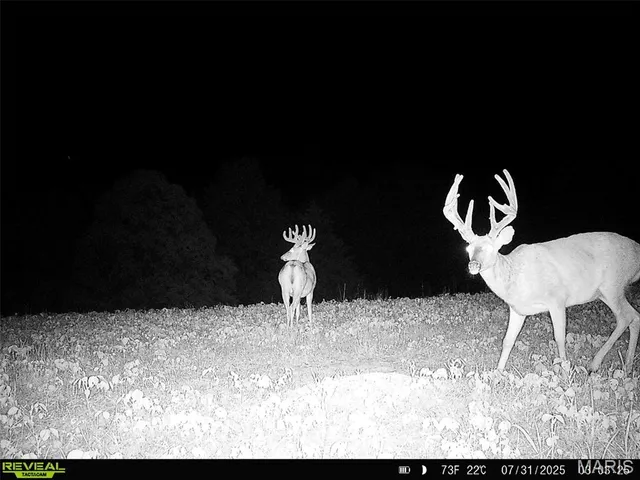 $1,080,800 | 0 Highway D (77.2 /- Acres ) Tract 1 Eolia Mo 63344, Eolia, MO 63344