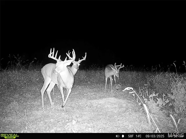 $1,080,800 | 0 Highway D (77.2 /- Acres ) Tract 1 Eolia Mo 63344, Eolia, MO 63344