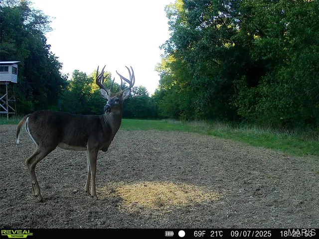 $1,080,800 | 0 Highway D (77.2 /- Acres ) Tract 1 Eolia Mo 63344, Eolia, MO 63344