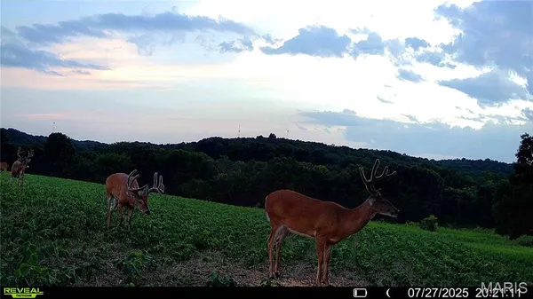 $1,080,800 | 0 Highway D (77.2 /- Acres ) Tract 1 Eolia Mo 63344, Eolia, MO 63344