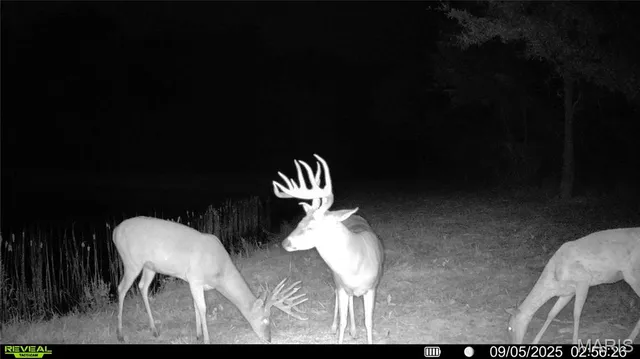 $1,080,800 | 0 Highway D (77.2 /- Acres ) Tract 1 Eolia Mo 63344, Eolia, MO 63344