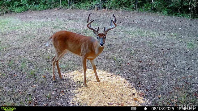 $1,080,800 | 0 Highway D (77.2 /- Acres ) Tract 1 Eolia Mo 63344, Eolia, MO 63344