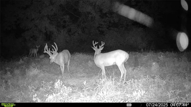 $1,080,800 | 0 Highway D (77.2 /- Acres ) Tract 1 Eolia Mo 63344, Eolia, MO 63344