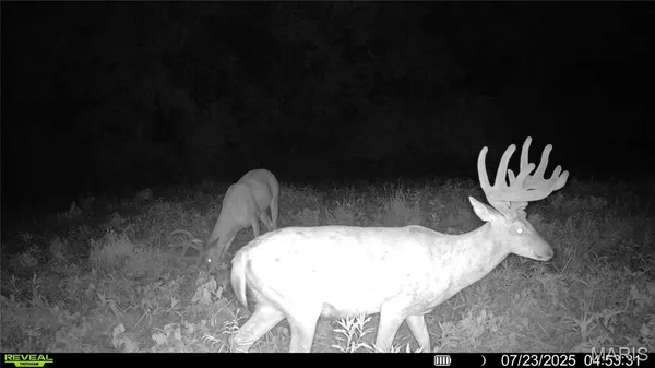 $1,080,800 | 0 Highway D (77.2 /- Acres ) Tract 1 Eolia Mo 63344, Eolia, MO 63344