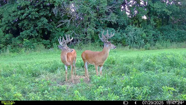 $1,080,800 | 0 Highway D (77.2 /- Acres ) Tract 1 Eolia Mo 63344, Eolia, MO 63344