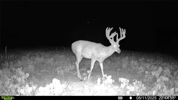 $1,080,800 | 0 Highway D (77.2 /- Acres ) Tract 1 Eolia Mo 63344, Eolia, MO 63344