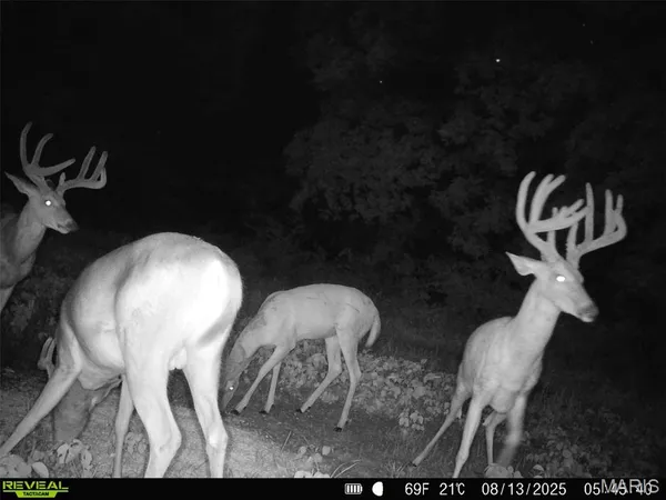 $1,080,800 | 0 Highway D (77.2 /- Acres ) Tract 1 Eolia Mo 63344, Eolia, MO 63344