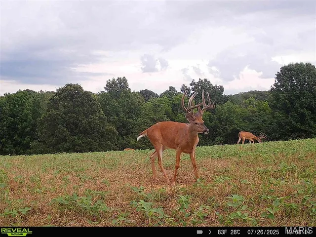 $1,080,800 | 0 Highway D (77.2 /- Acres ) Tract 1 Eolia Mo 63344, Eolia, MO 63344