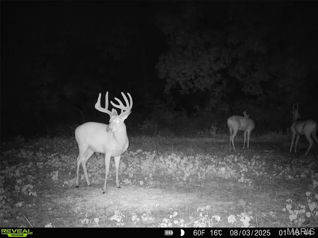 $1,080,800 | 0 Highway D (77.2 /- Acres ) Tract 1 Eolia Mo 63344, Eolia, MO 63344