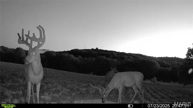 $1,080,800 | 0 Highway D (77.2 /- Acres ) Tract 1 Eolia Mo 63344, Eolia, MO 63344