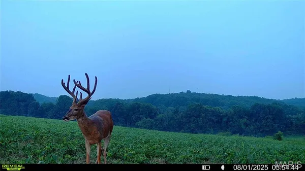 $1,080,800 | 0 Highway D (77.2 /- Acres ) Tract 1 Eolia Mo 63344, Eolia, MO 63344