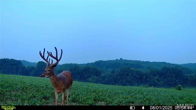 $1,080,800 | 0 Highway D (77.2 /- Acres ) Tract 1 Eolia Mo 63344, Eolia, MO 63344