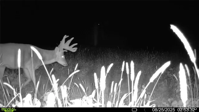 $1,080,800 | 0 Highway D (77.2 /- Acres ) Tract 1 Eolia Mo 63344, Eolia, MO 63344