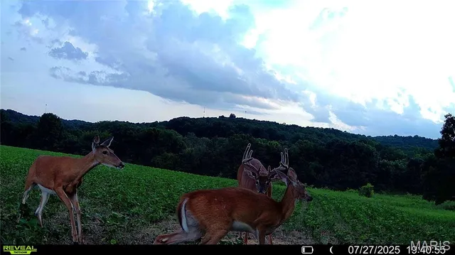 $1,080,800 | 0 Highway D (77.2 /- Acres ) Tract 1 Eolia Mo 63344, Eolia, MO 63344