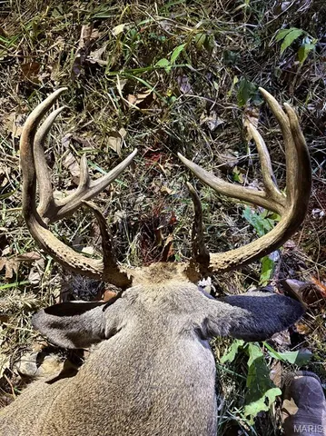 $1,080,800 | 0 Highway D (77.2 /- Acres ) Tract 1 Eolia Mo 63344, Eolia, MO 63344