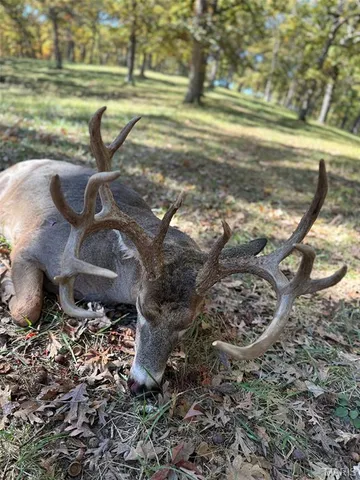 $1,080,800 | 0 Highway D (77.2 /- Acres ) Tract 1 Eolia Mo 63344, Eolia, MO 63344