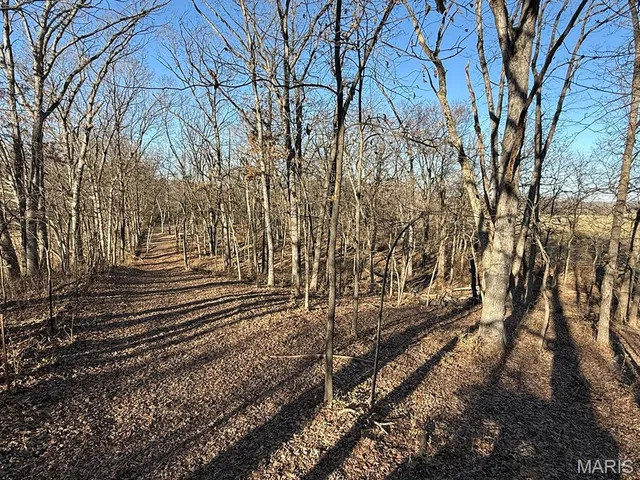 $1,080,800 | 0 Highway D (77.2 /- Acres ) Tract 1 Eolia Mo 63344, Eolia, MO 63344