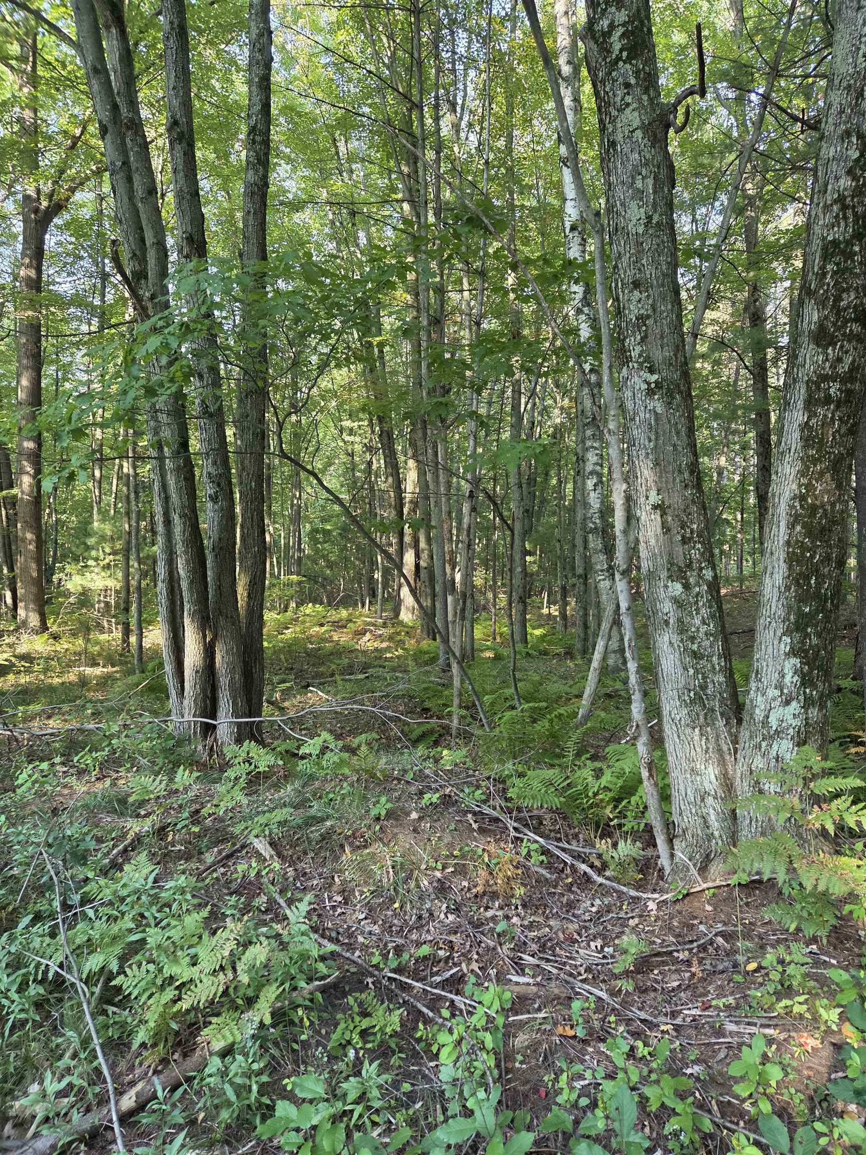 Hale Road Peshtigo, WI 54157 - Photo 2 of 10