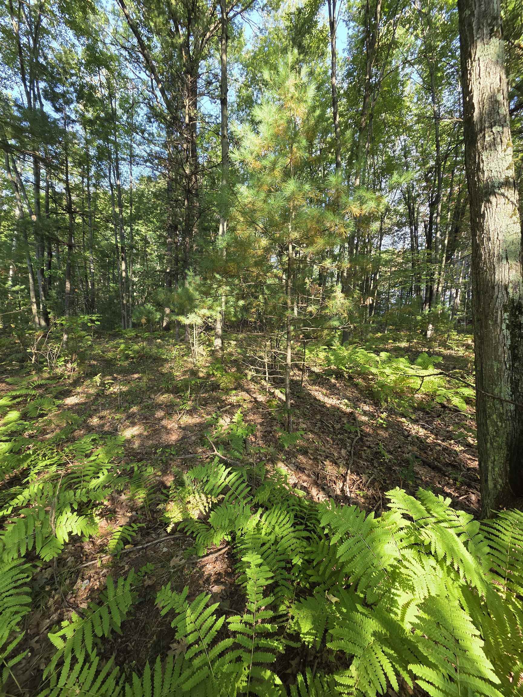 Hale Road Peshtigo, WI 54157 - Photo 5 of 10