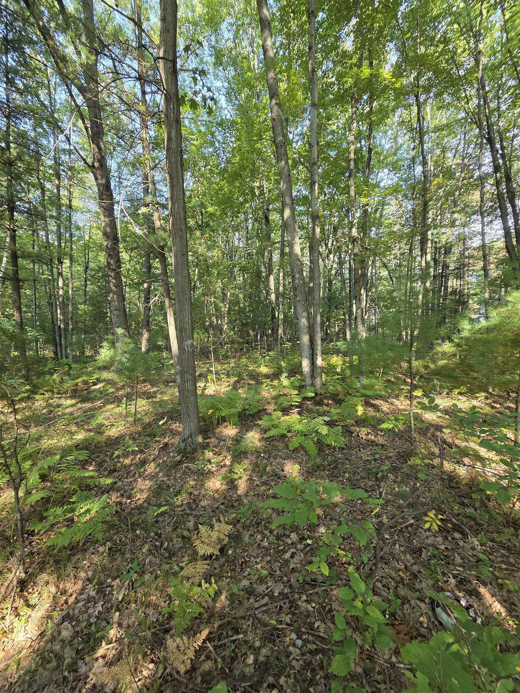 Hale Road Peshtigo, WI 54157 - Photo 6 of 10