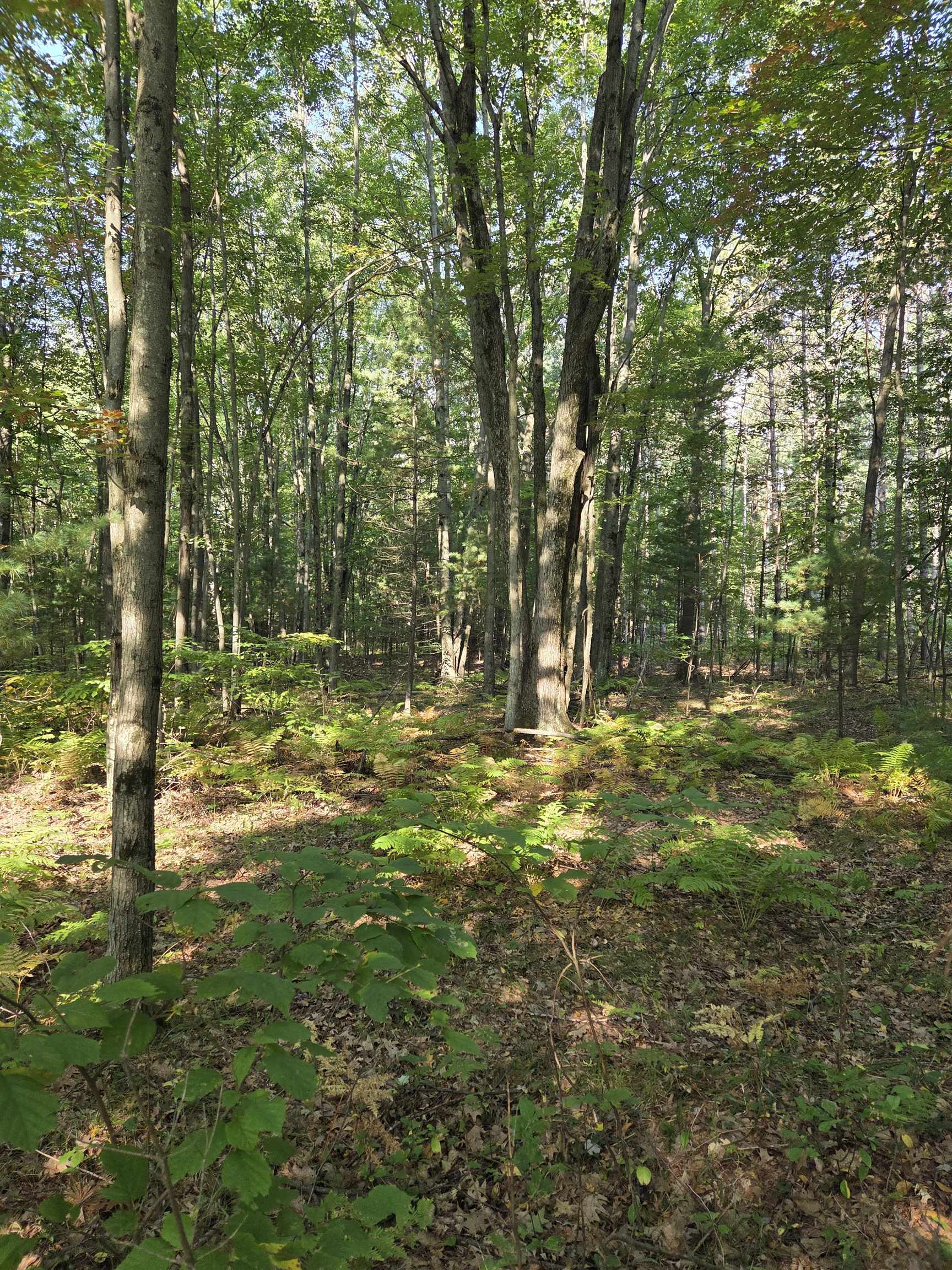 Hale Road Peshtigo, WI 54157 - Photo 7 of 10