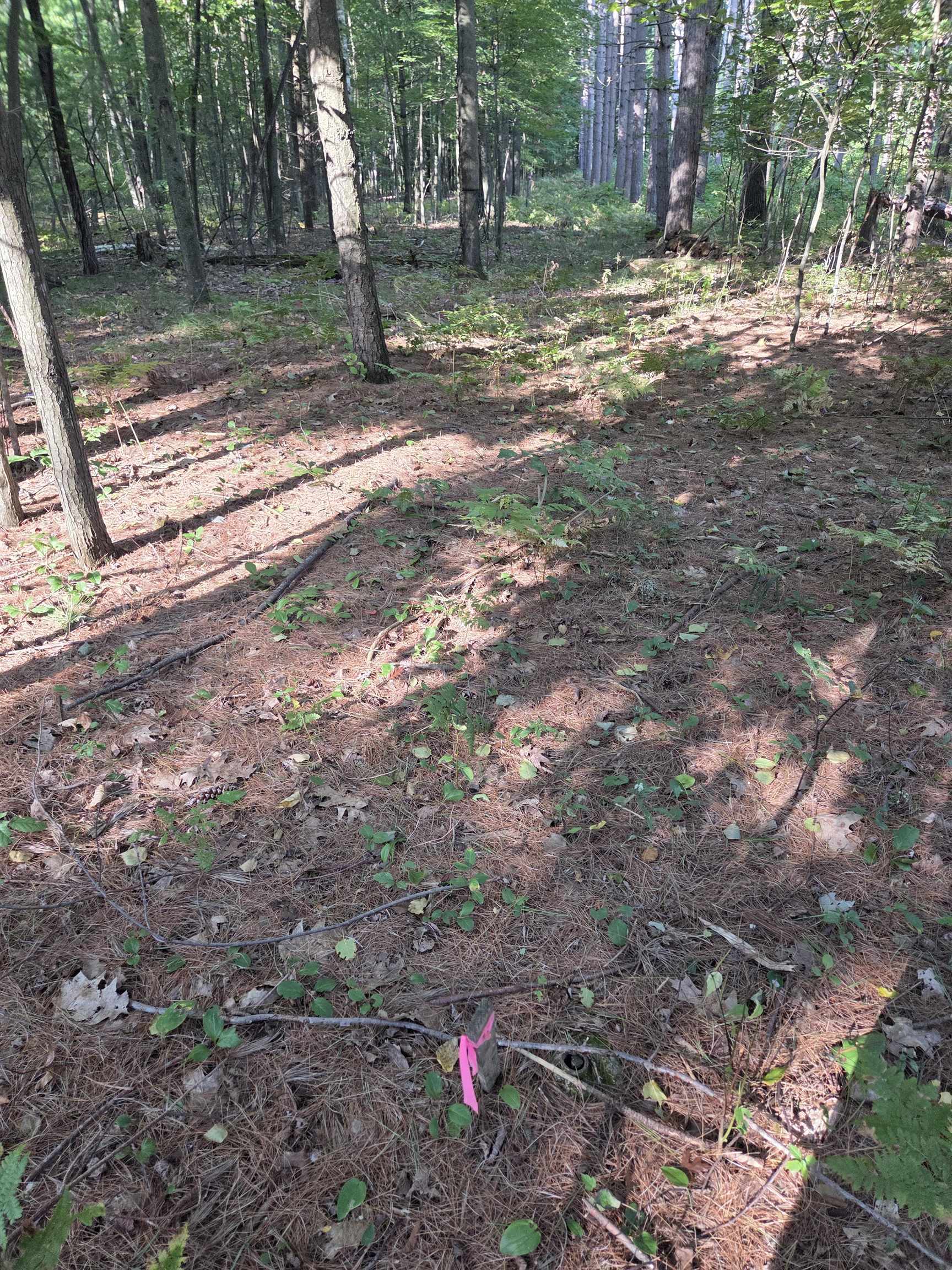 Hale Road Peshtigo, WI 54157 - Photo 8 of 10