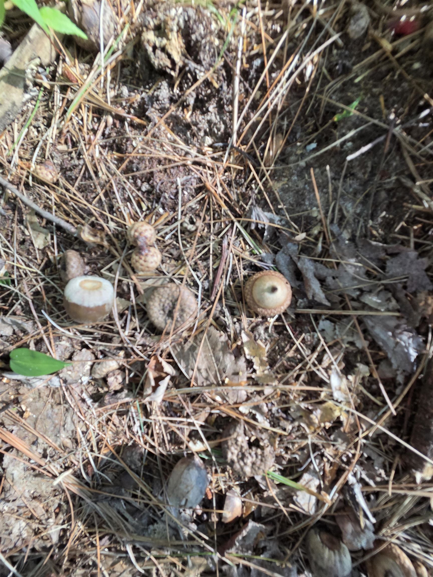 Hale Road Peshtigo, WI 54157 - Photo 10 of 10