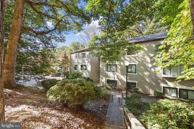 a view of backyard of house