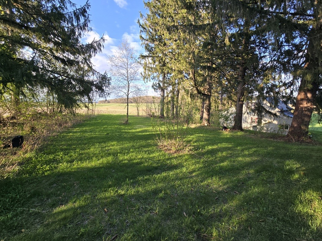 N38965 County Road West Whitehall, WI 54773 - Photo 12 of 13
