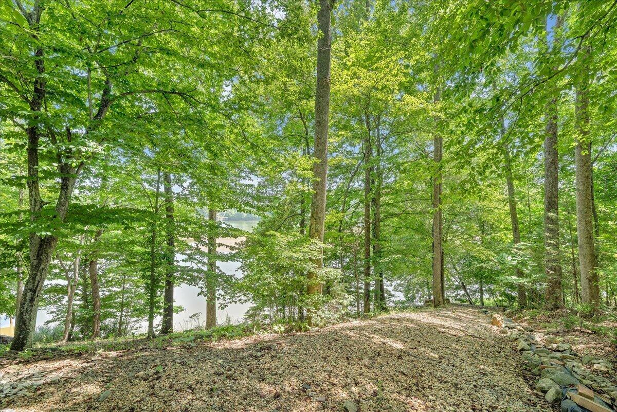 2250 Lovely Valley Road Wirtz, VA 24184 - Photo 88 of 128 089-MIB05615