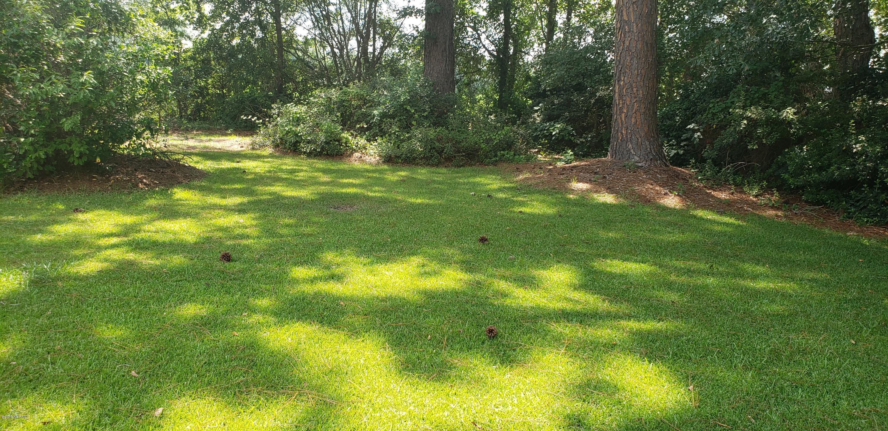 1406 Hardee Road Kinston, NC 28504 - Photo 15 of 17 large yard