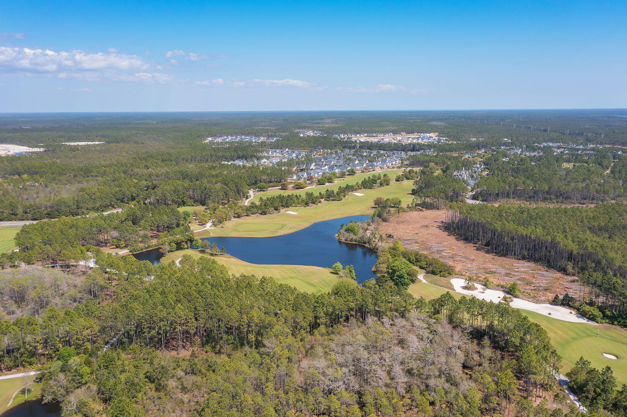 235 Needle Cast Ln Inlet Beach Inlet Beach, FL 32461 - Photo 56 of 58 an aerial view of ocean and residential houses with outdoor space