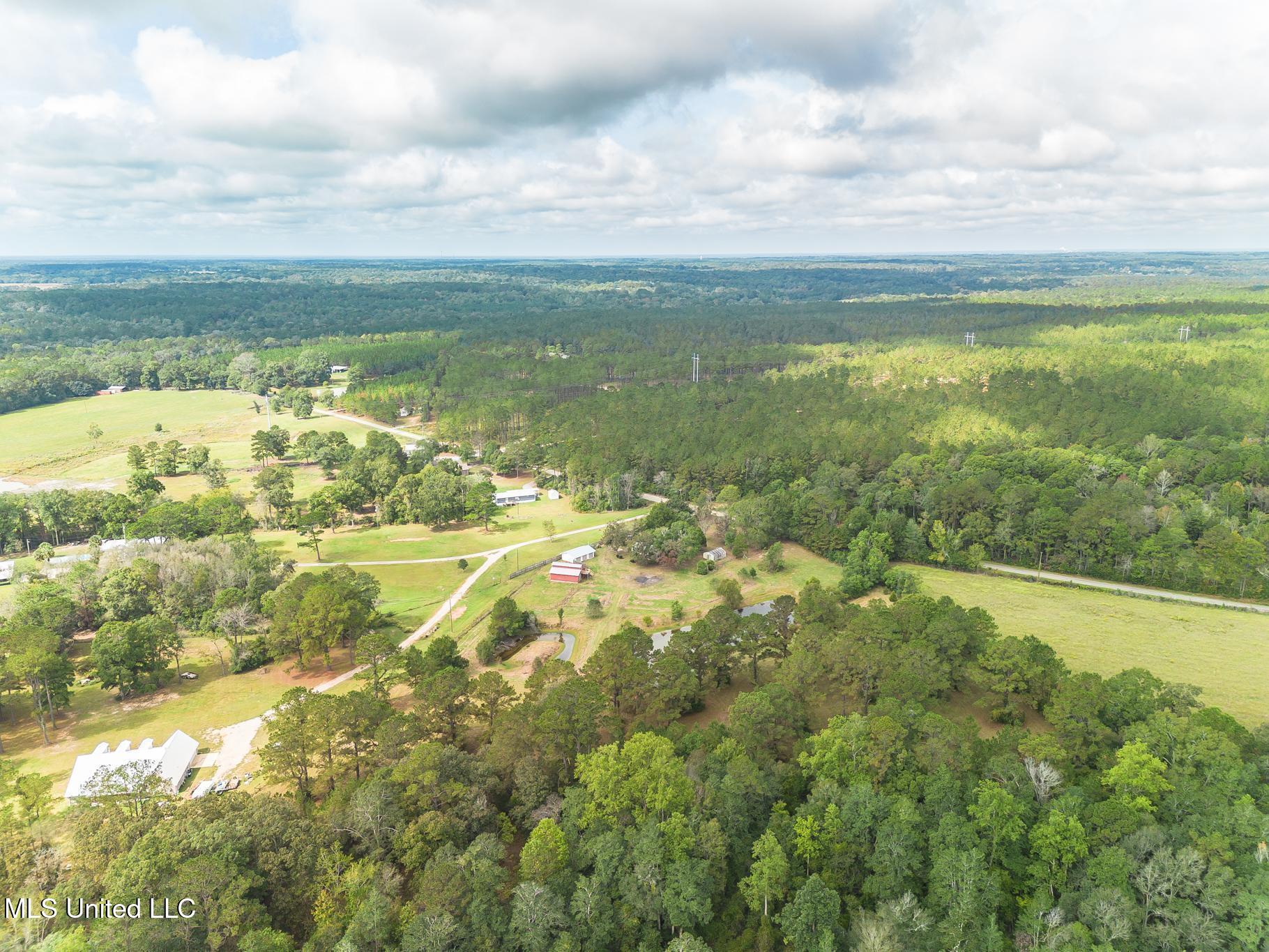 256 Harry Sones Road Carriere, MS 39426 - Photo 30 of 41 DJI_0009
