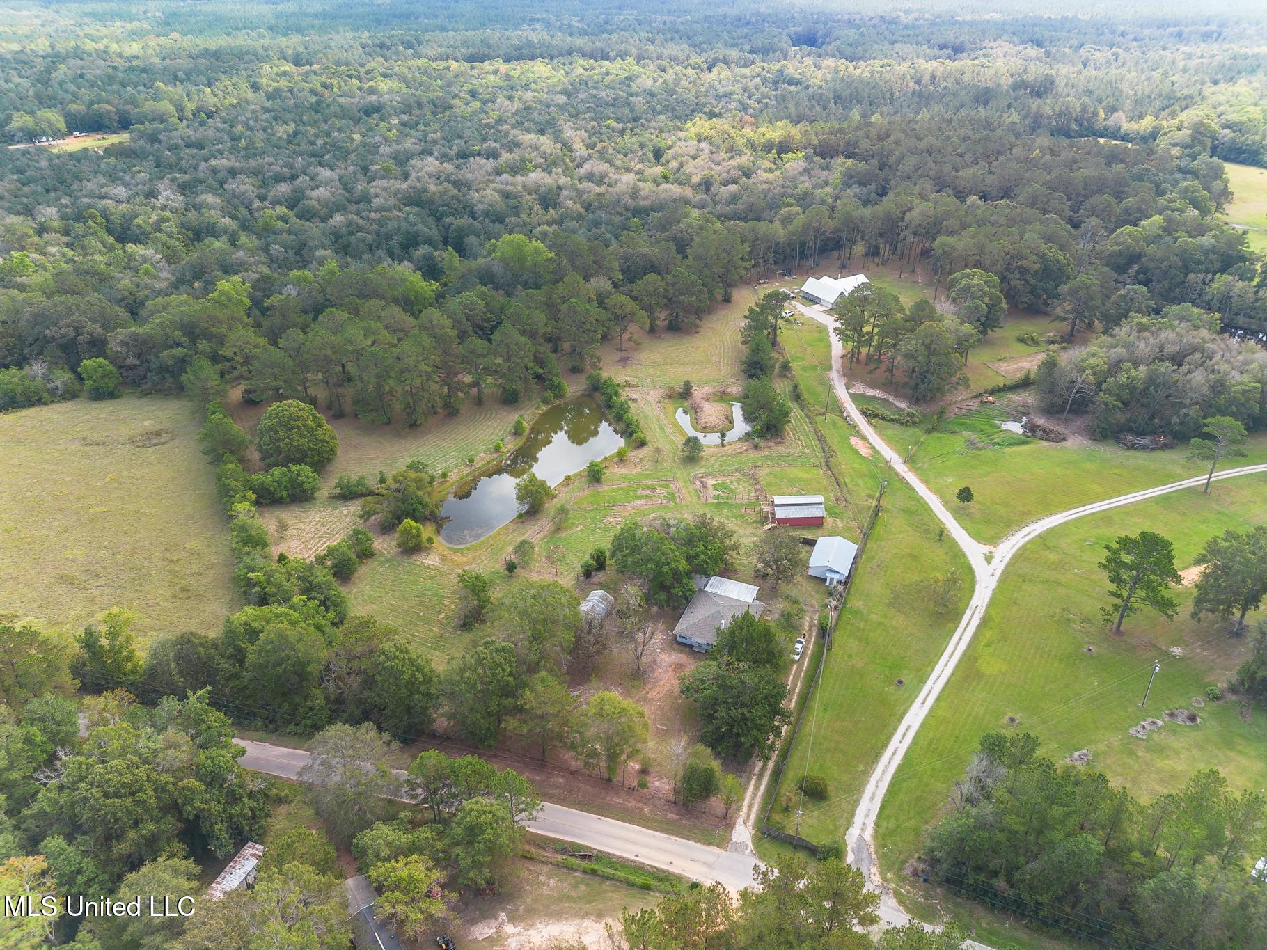 256 Harry Sones Road Carriere, MS 39426 - Photo 31 of 41 DJI_0013