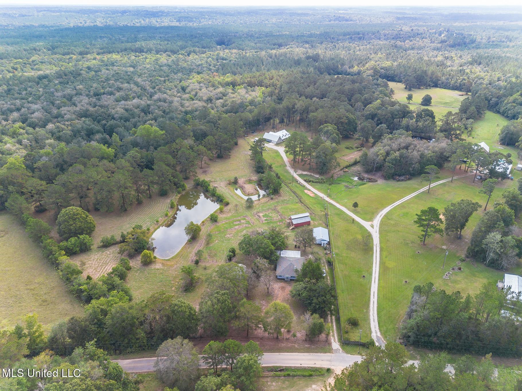 256 Harry Sones Road Carriere, MS 39426 - Photo 33 of 41 DJI_0015