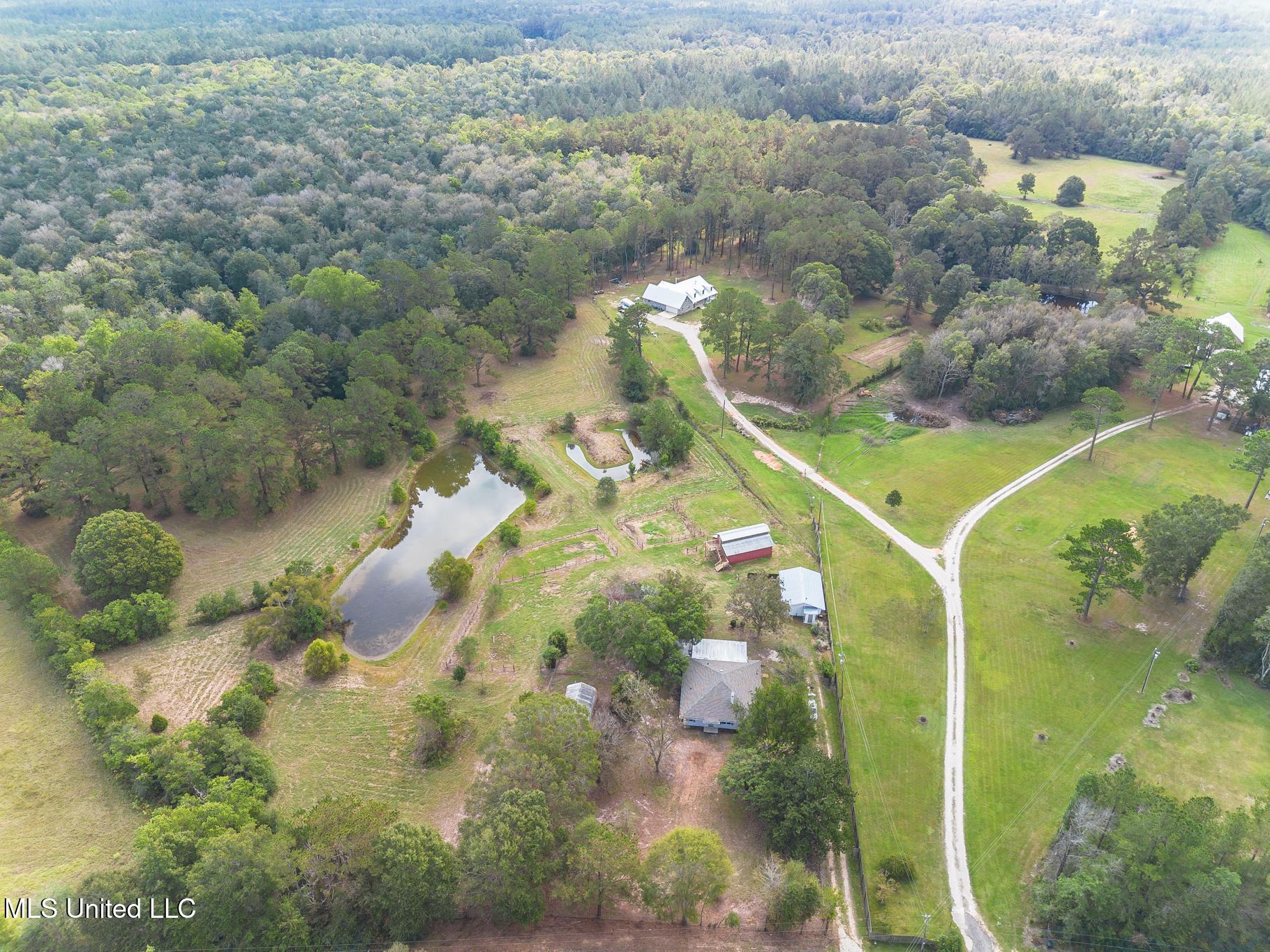 256 Harry Sones Road Carriere, MS 39426 - Photo 34 of 41 DJI_0016