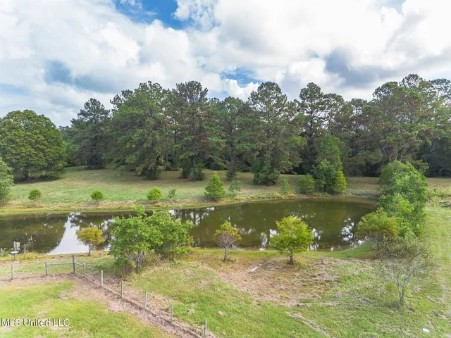 $418,000 | 256 Harry Sones Road, Carriere, MS 39426