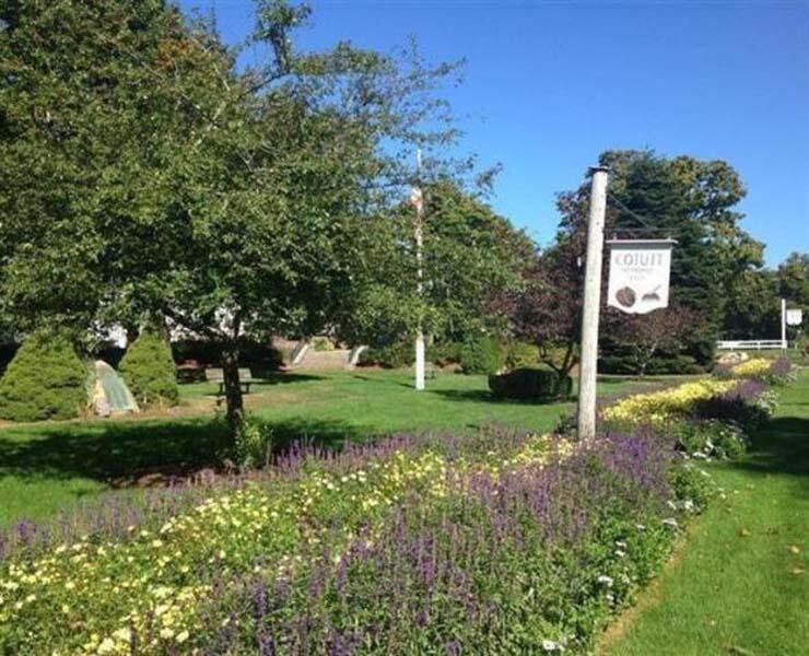 39 Nickerson Road Cotuit, MA 02635 - Photo 21 of 24 a view of a park that has large trees