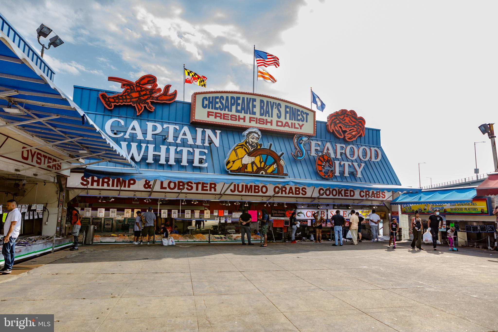 1435 4th Street Southwest, Unit B512 Washington, DC 20024 - Photo 5 of 14