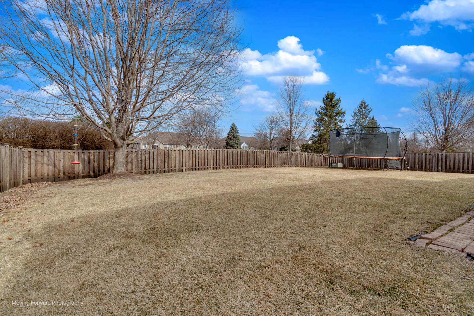 25420 Springview Court Plainfield, IL 60586 - Photo 23 of 26 a view of a yard covered with snow in front of house