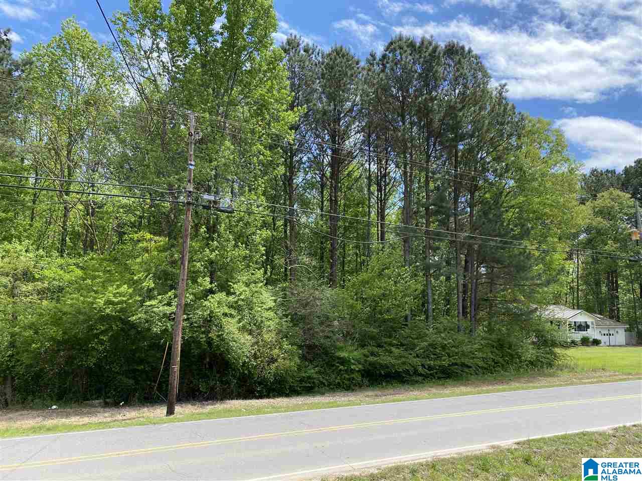 0 Hull Road Sumiton, AL 35148 - Photo 2 of 3