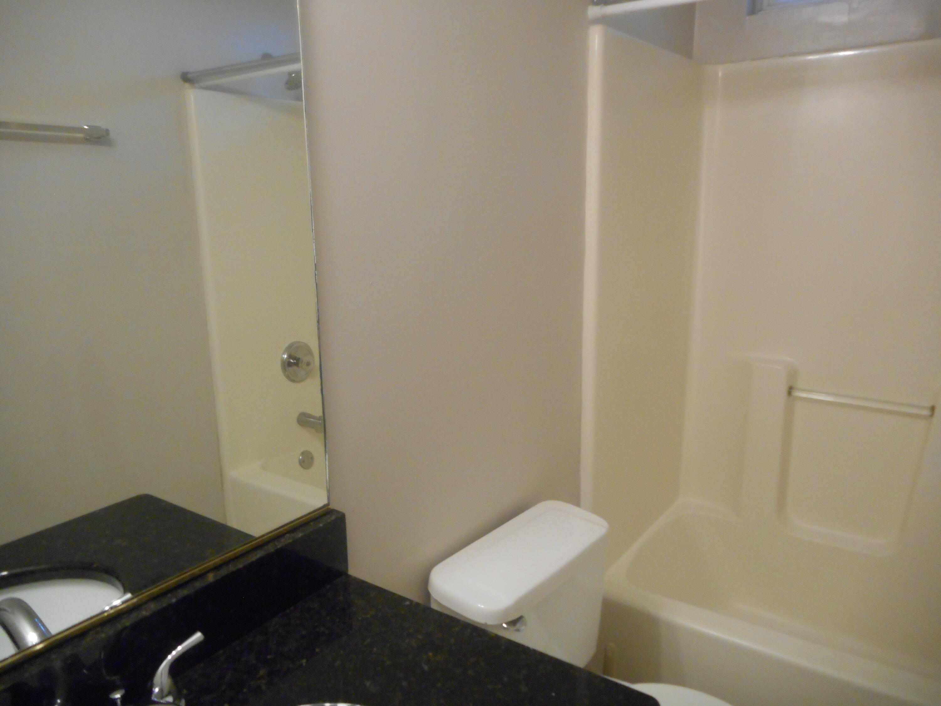 3502 Sidesaddle Court Hephzibah, GA 30815 - Photo 17 of 25 Hall bath with shower/tub combo, ceramic tile floors and granite countertops.