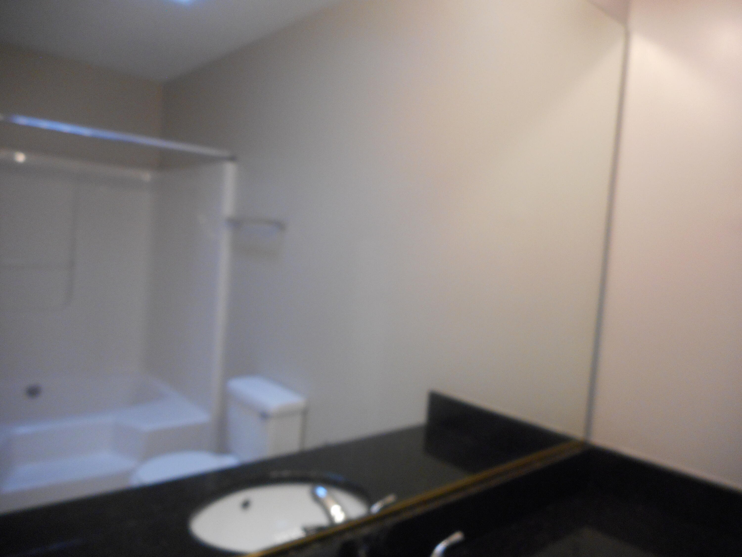 3502 Sidesaddle Court Hephzibah, GA 30815 - Photo 24 of 25 Owner bathroom